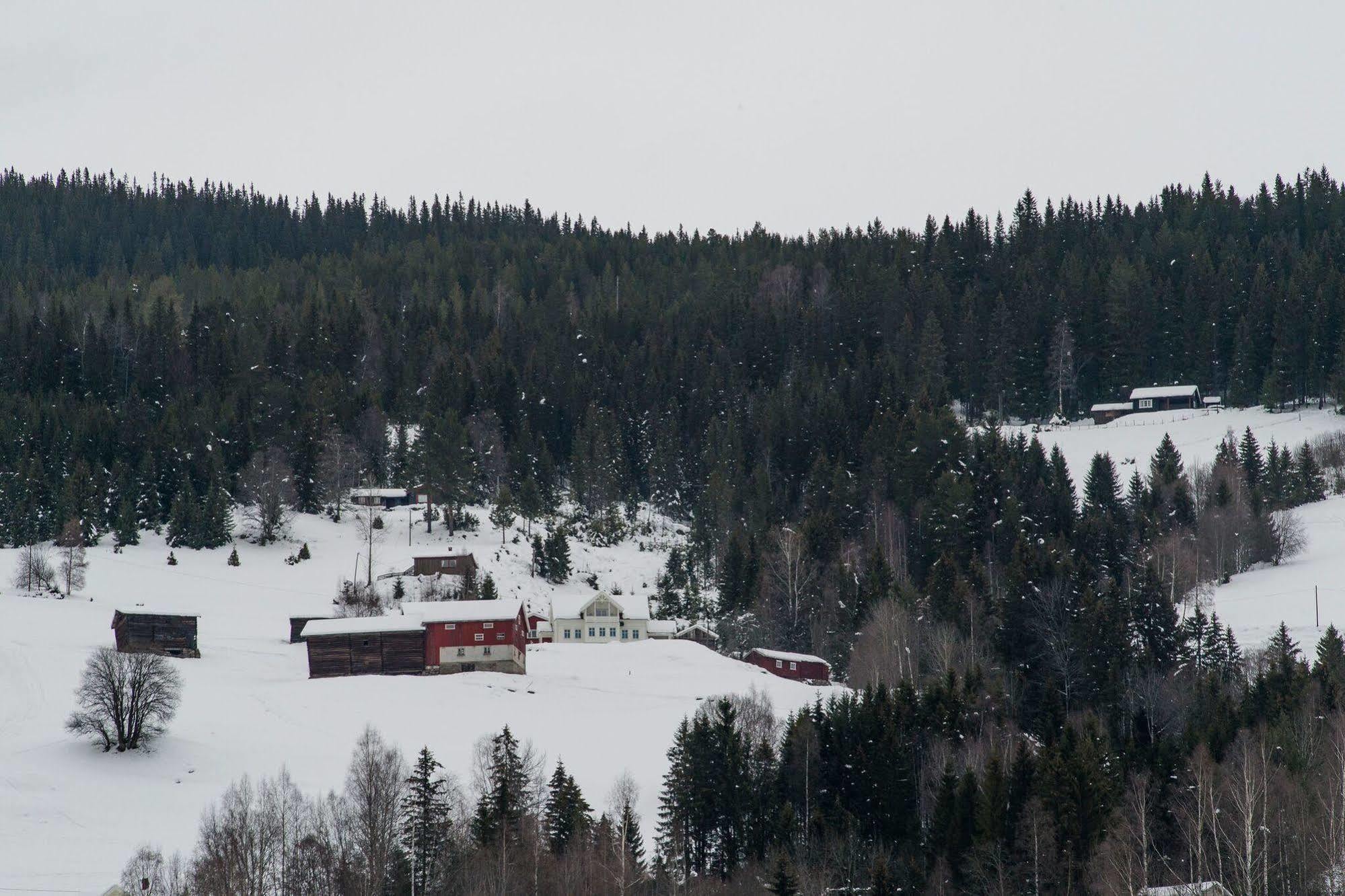 Borgerstue Hotel