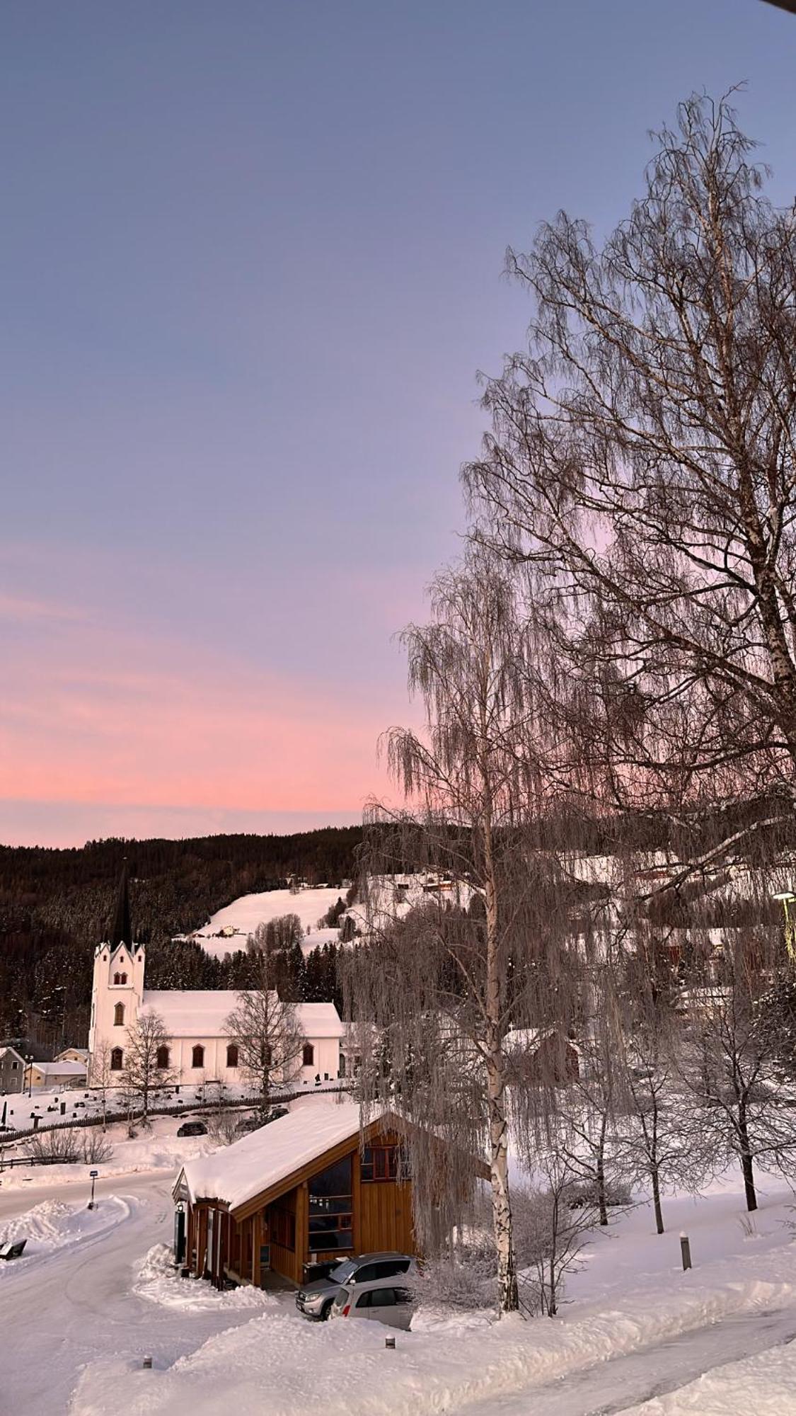 Borgerstue Hotel 3*